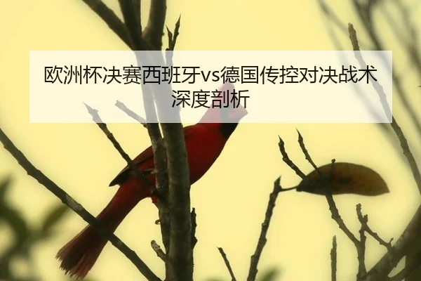 ou-zhou-bei-jue-sai-xi-ban-ya-de-guo-chuan-kong-dui-jue-zhan-shu-shen-du-pou-xi-2-577.jpg