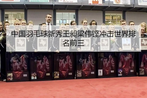 中国羽毛球新秀王昶梁伟铿冲击世界排名前三